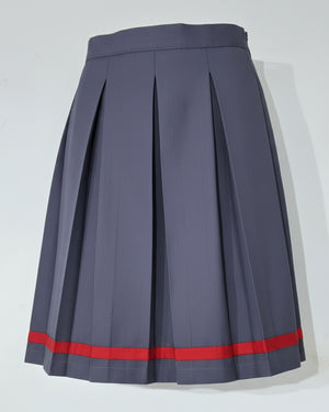 Kendriya Vidyalaya (KV) Girls School Uniform Skirt, Terrycotton, One Side Pleated, Red Stripe