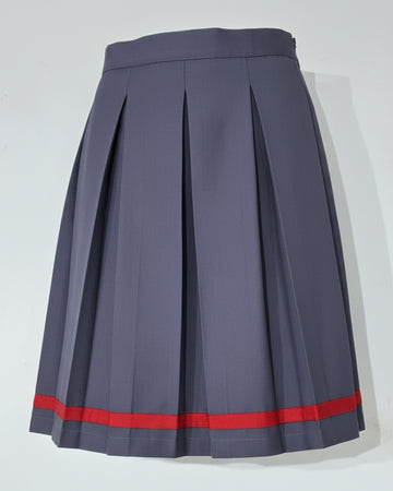 Kendriya Vidyalaya (KV) Girls School Uniform Skirt, Terrycotton, One Side Pleated, Red Stripe