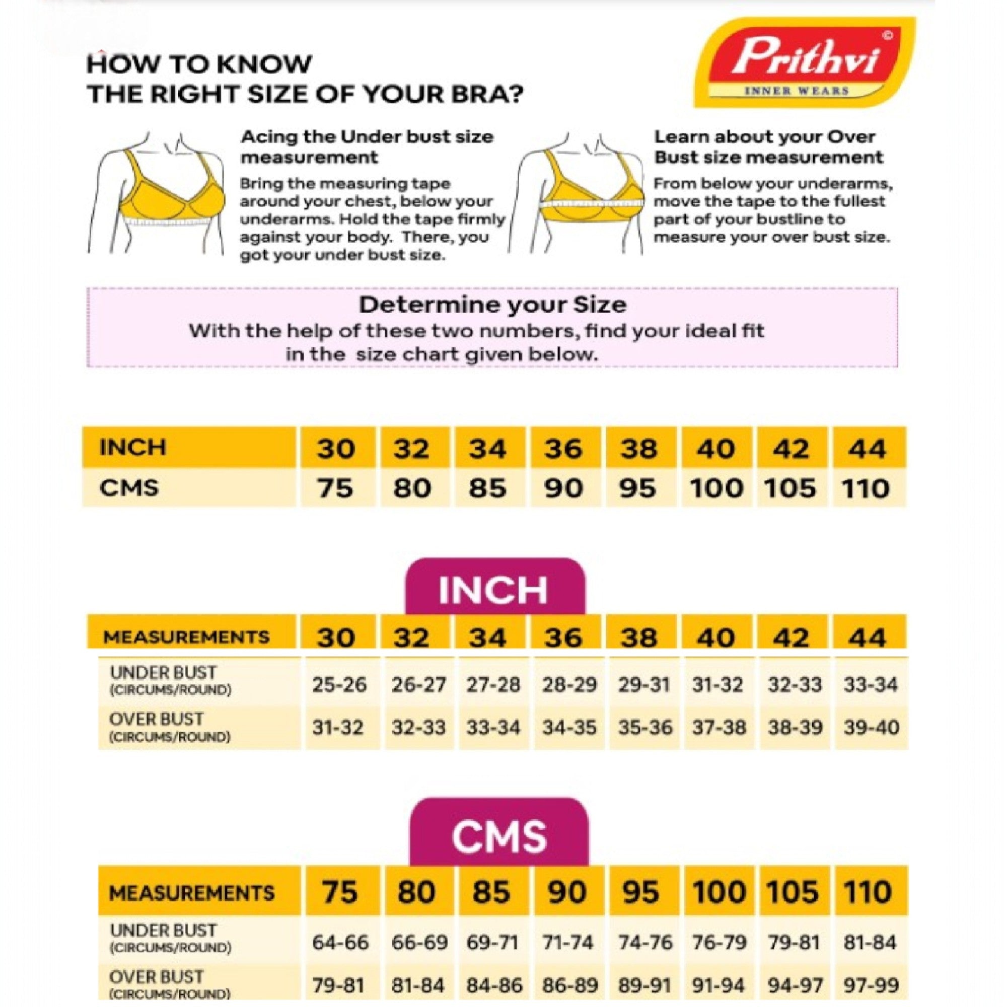 Prithvi Ayathi Pad Bra I Every Day I  Padded Bra  (Random Colours)