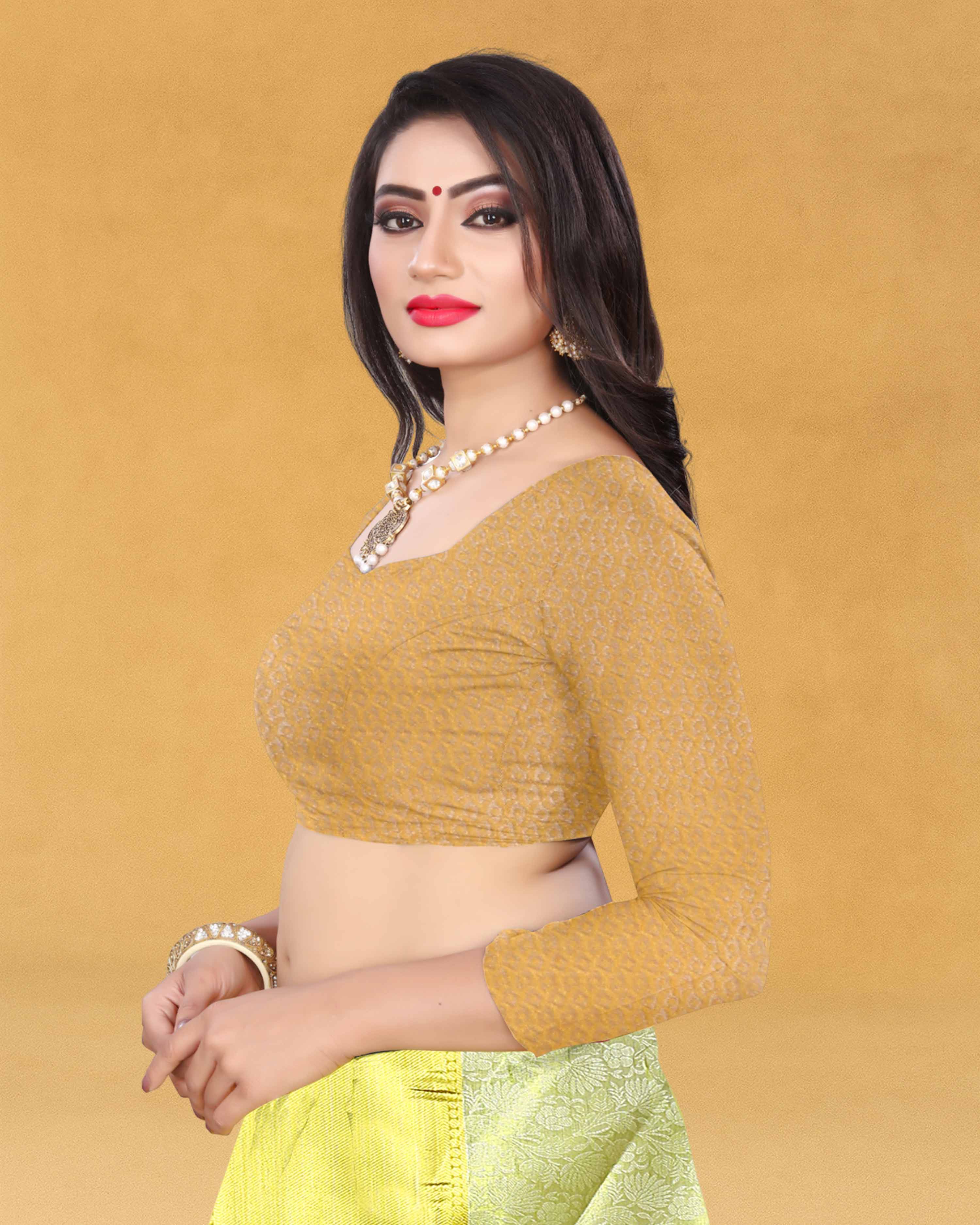 Women's Banarasi Traditional Tissue Saree