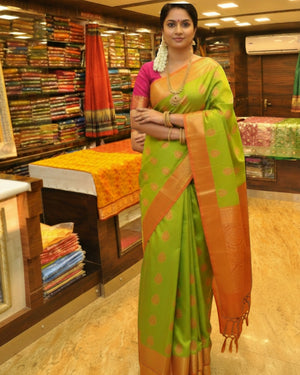 Light green saree