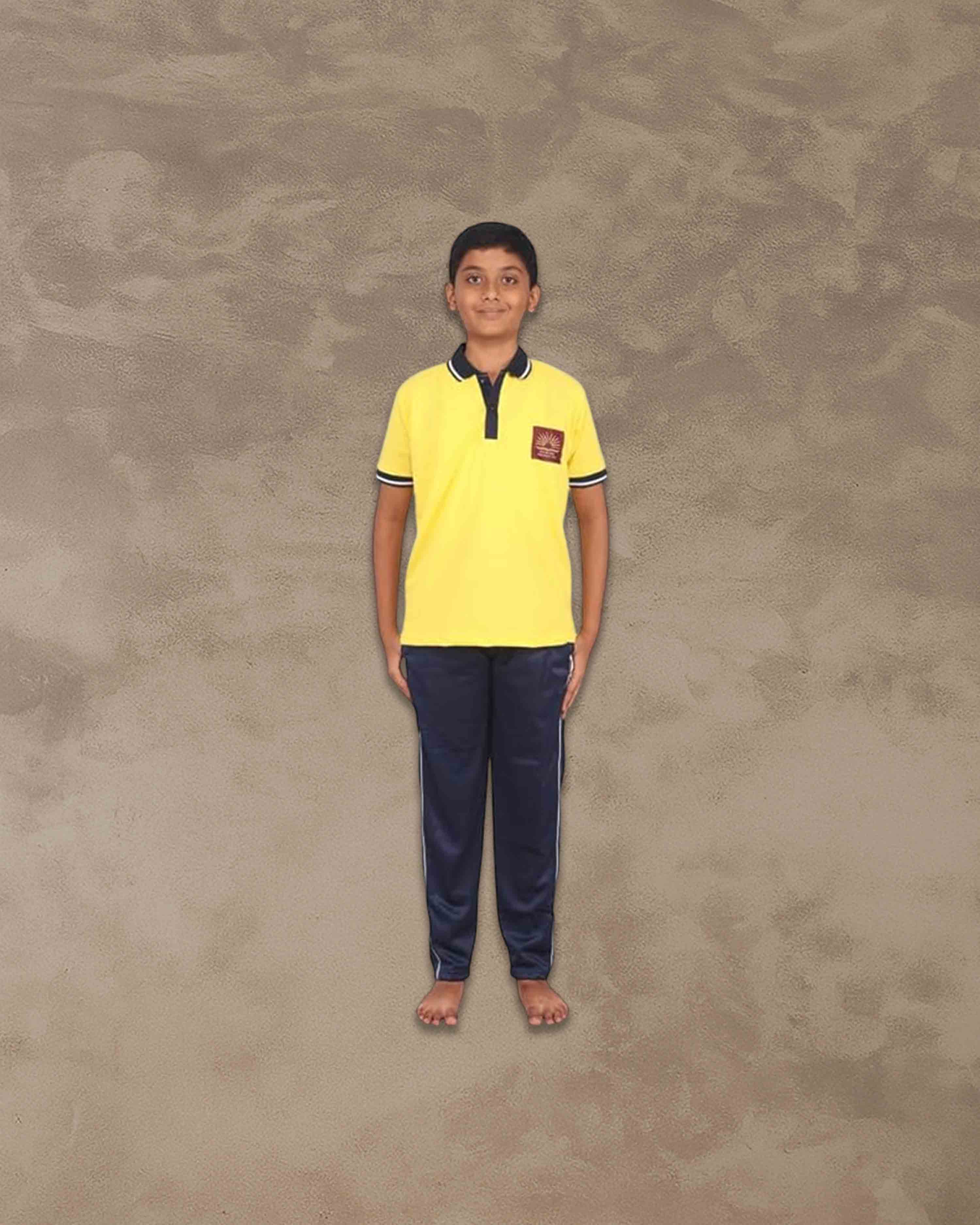Kendriya Vidhyalaya (KV) School House Tshirts