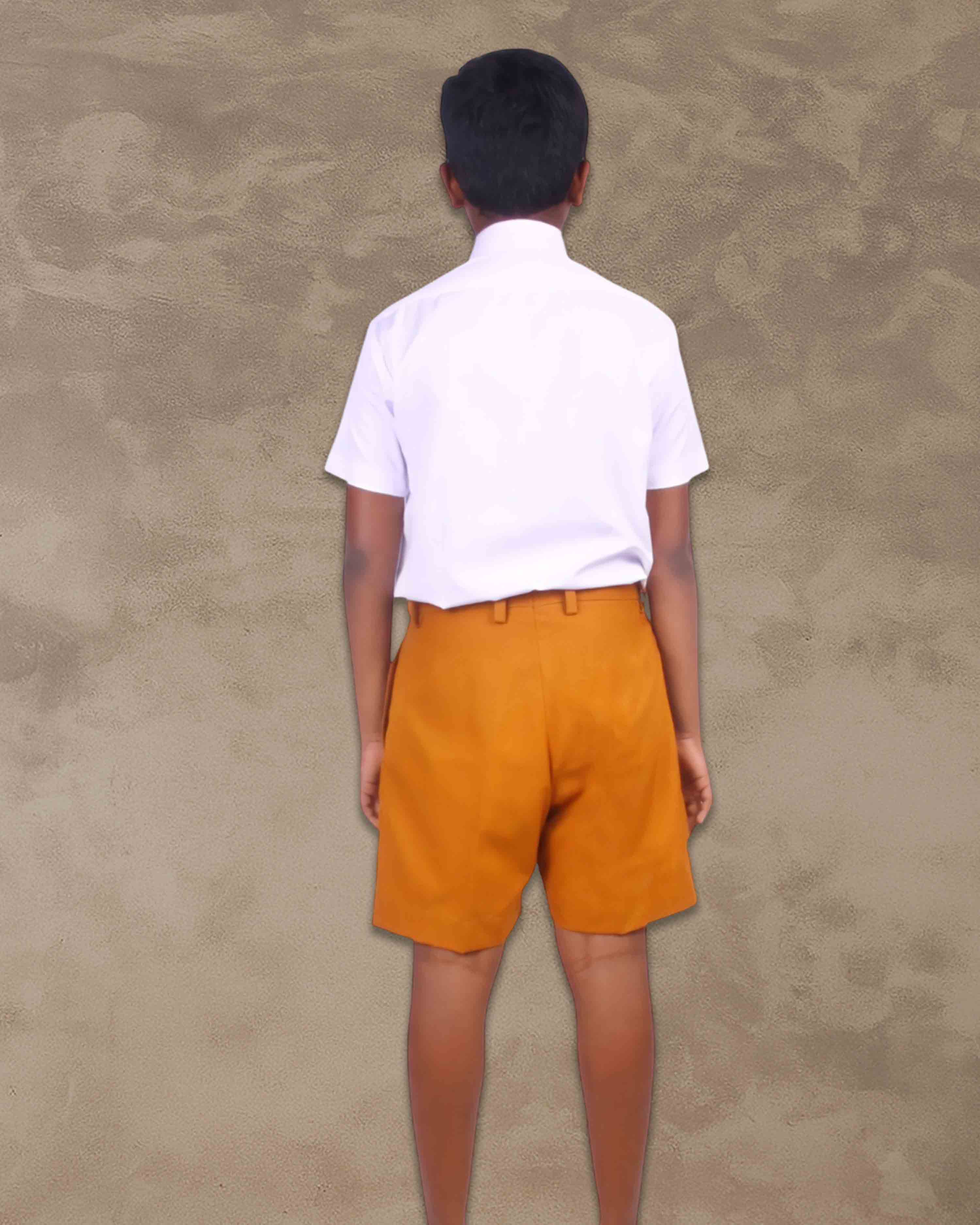 School Uniform - Pant for Boys, Cotton Shorts, Elastic Waist Half Pants, Regular Fit Sports Shorts