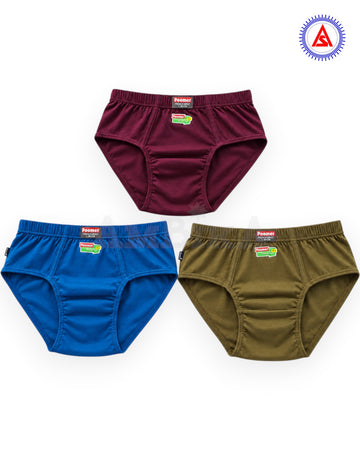 Poomer French Brief IE pack of three assorted burgundy blue olive briefs