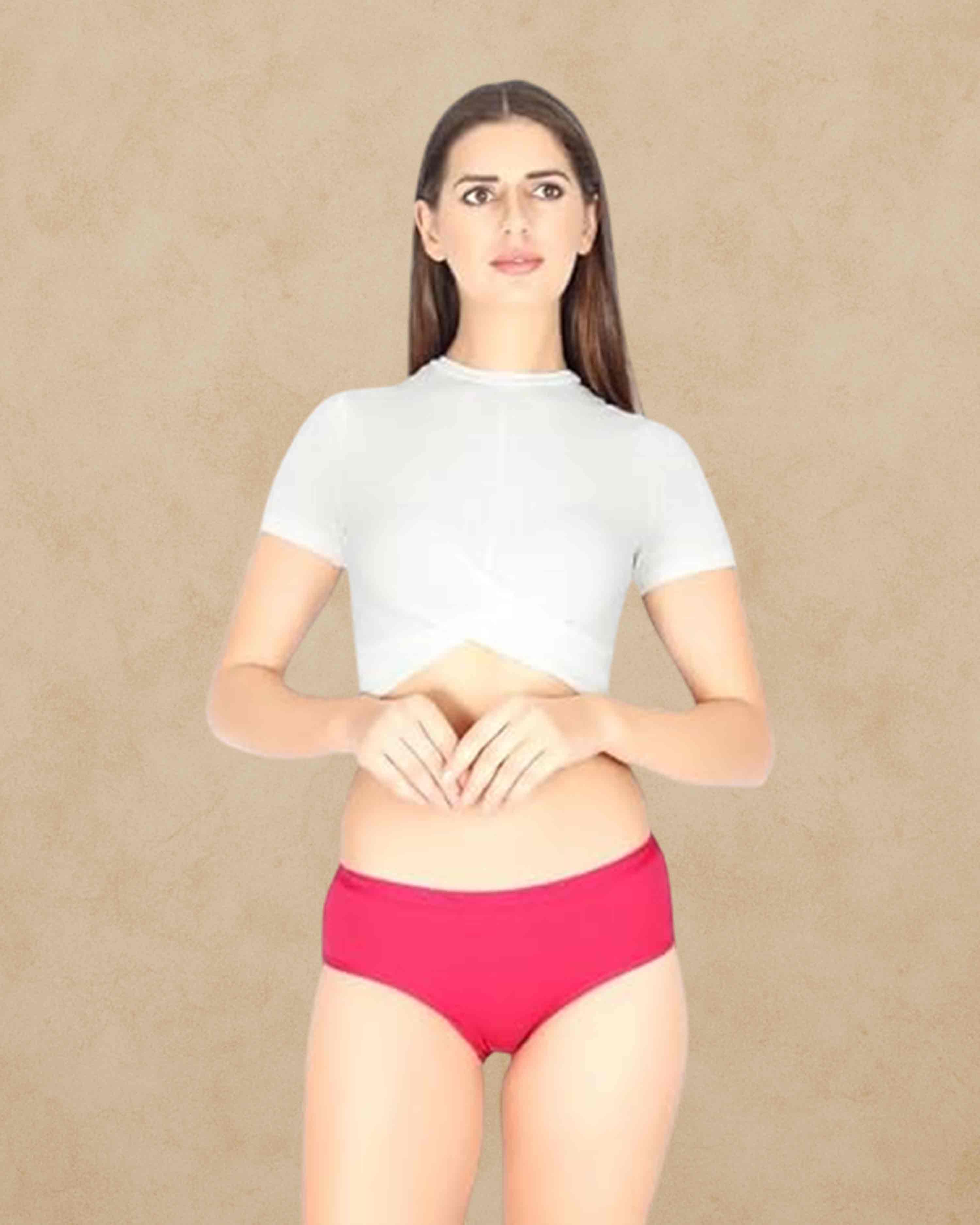 Prithvi Innerwears Joshi Panties (Inner Elastic Packs) May Vary